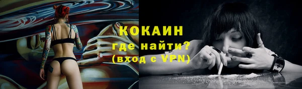 соль ск Сосновый Бор