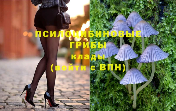 ешки Бугульма
