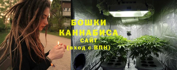 a pvp Бородино