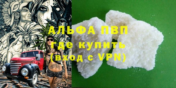 a pvp Бородино