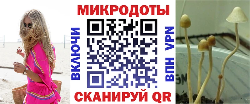 ссылка на мегу маркетплейс  Можайск  Галлюциногенные грибы мухоморы 