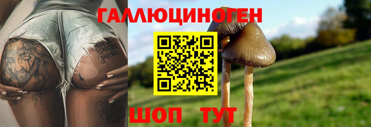 Галлюциногенные грибы мухоморы  Вход с VPN  Можайск 